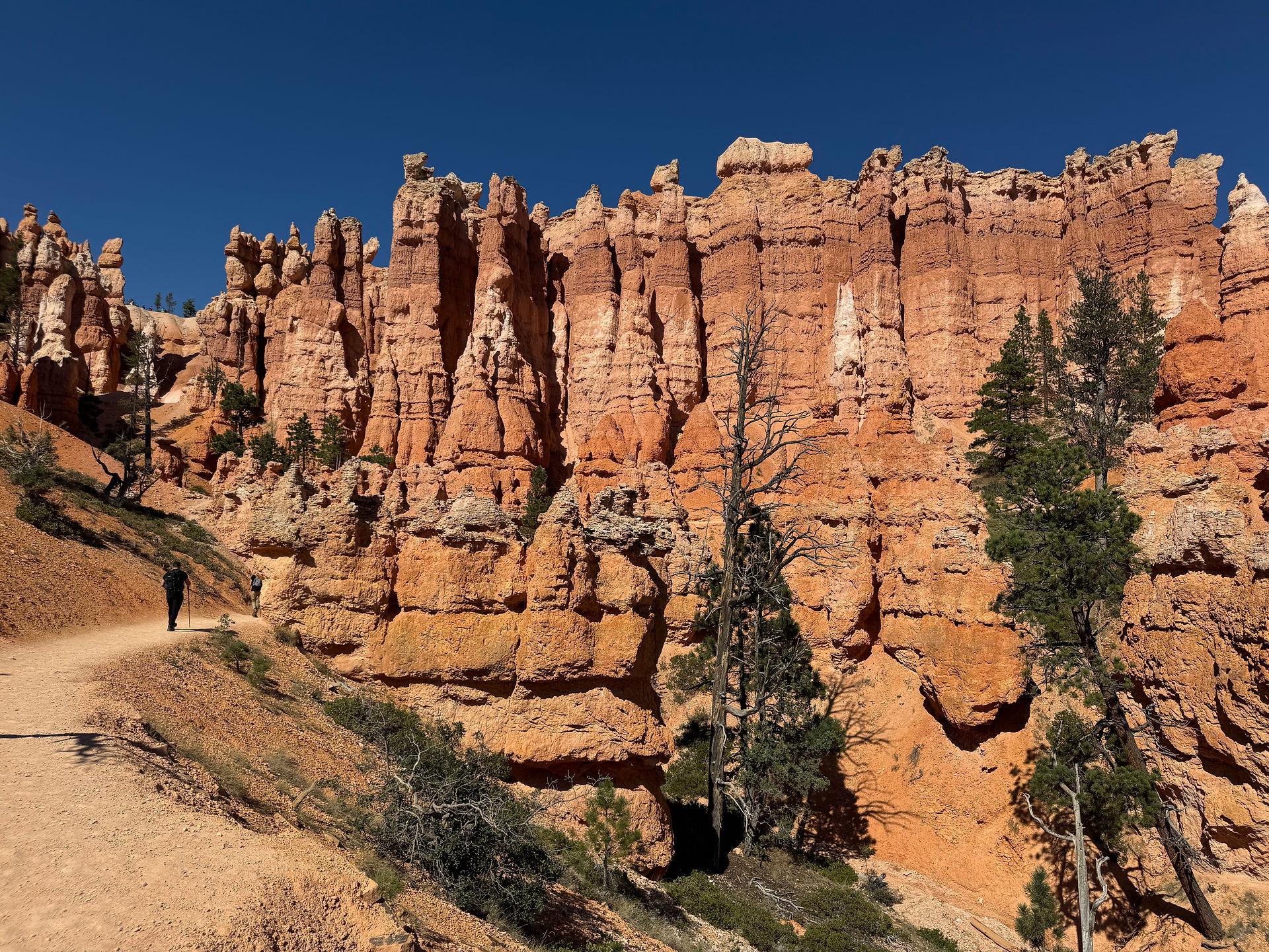 Navajo Loop to Queen's Graden Trails  in Bryce Canyon Park