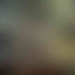 The Manhattan Art and Antiques Center in Manhattan New York, New York USA