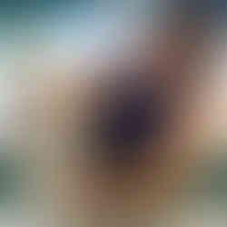 Sterling Silverware Lifestyle Shot