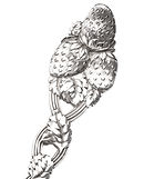 Strawberry-Tiffany-Sterling-Silver_edite