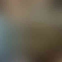 The Manhattan Art and Antiques Center in Manhattan New York, New York USA