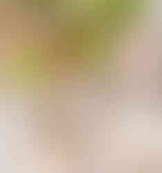 Sterling Silverware Lifestyle Shot