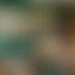 Sterling Silverware Lifestyle Shot