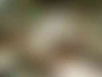 Sterling Silverware Lifestyle Shot