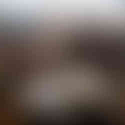 Sterling Silverware Lifestyle Shot