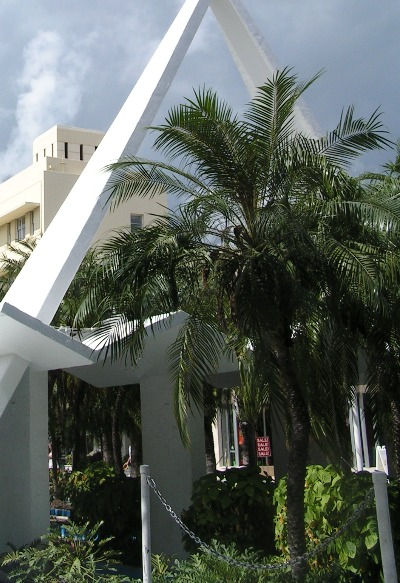 Immeubles blancs et flore tropicale : Miami