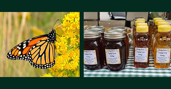 Market Prize Wheel Day Banner (16).jpg