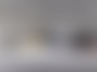 Gentle Monster’s giant animatronic dachshund in chainmail armor at Haus Nowhere Seoul, inside a concrete futuristic gallery.