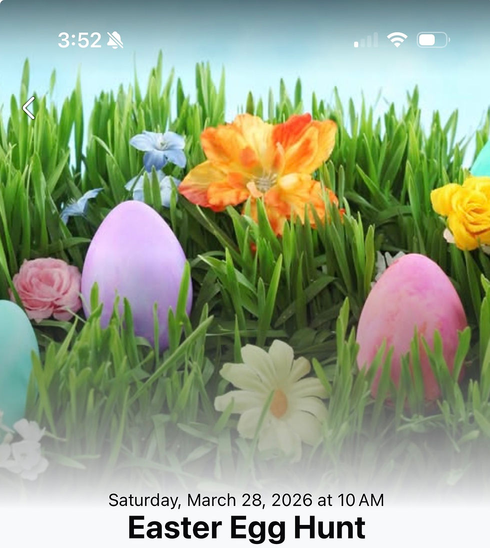 easter eggs in grass