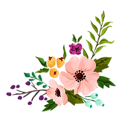 Reiki Omaha, NE Healing Intuition Coaching
