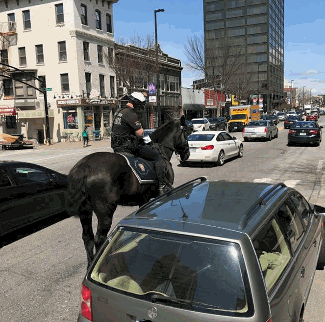 traffic stop.gif