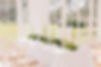 Love and Life Studio - Laurenbrandingshoot-116.jpg