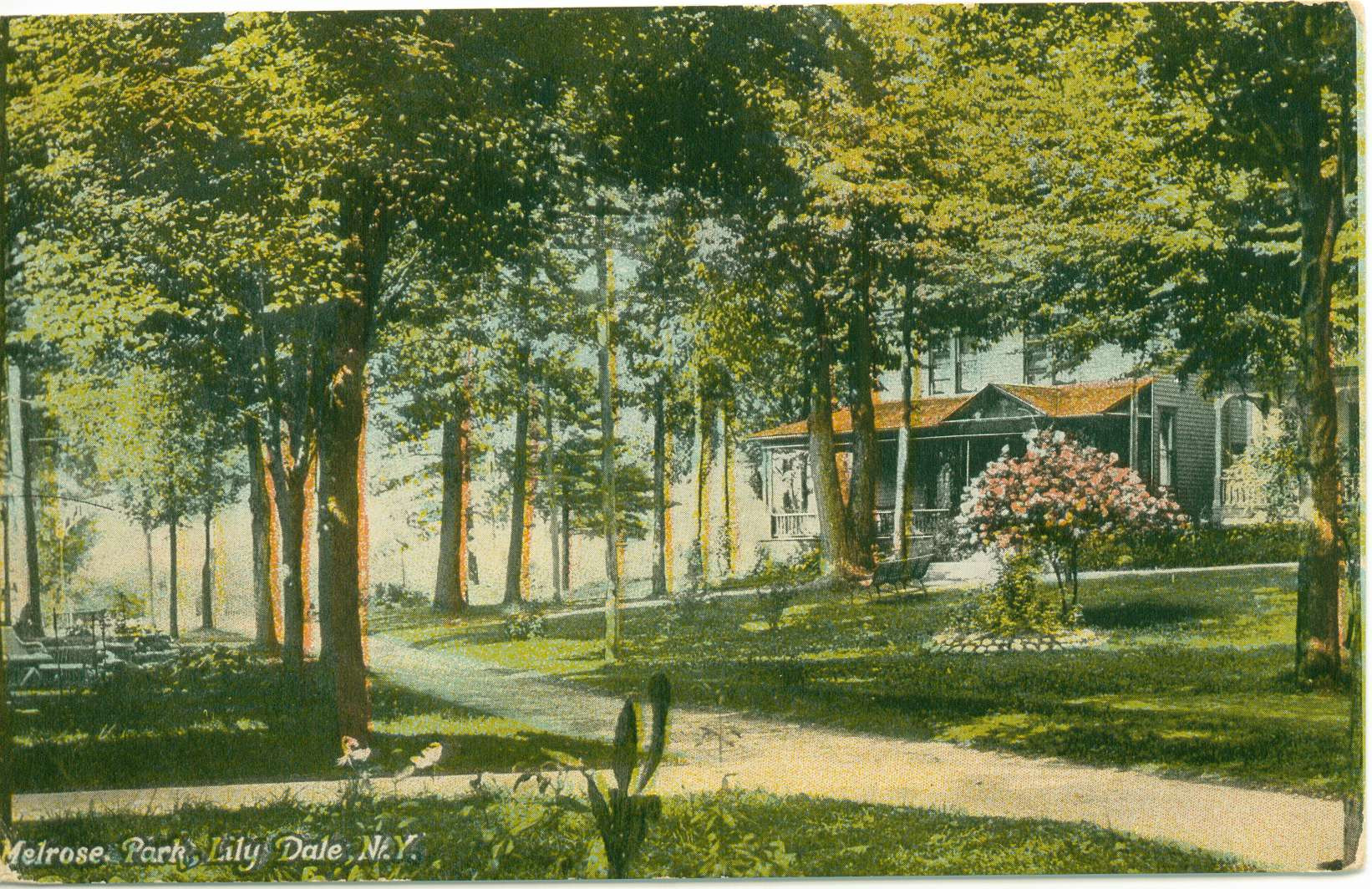 Our Beautiful Nature Lily Dale, NY