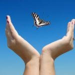 Opening Day Butterfly Release Ceremony