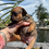 Thumbnail: Red Sable Female- (Roxy & Power) (Reserved) 