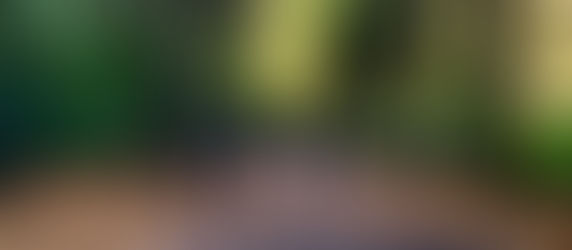 Living The Life Across The Pond