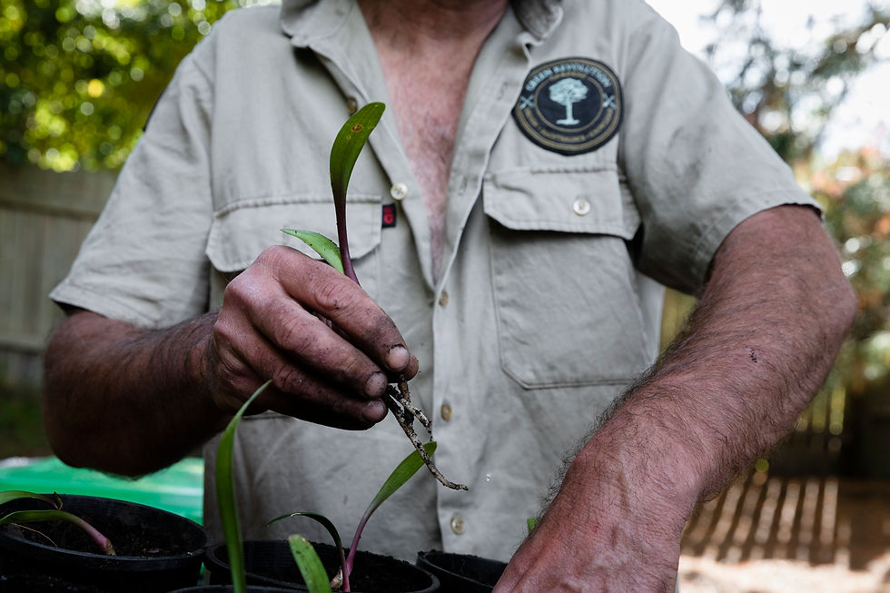 It's a dirty job but someone's...