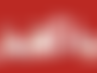 Did you say 'White Rabbits' this morning?