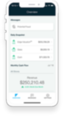 Restaurant Franchise Accounting Solution