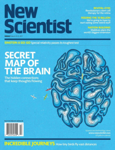 Holes in your brain make you smart