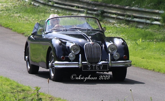 1959 Jaguar XK, 3 TEV - on the hill