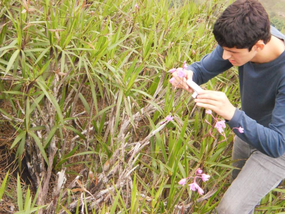 Das histórias aos passeios: Biólogo conta como a Serra do Brigadeiro influenciou sua vida