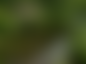 Prose Poetry #1 - Skinny Dipping