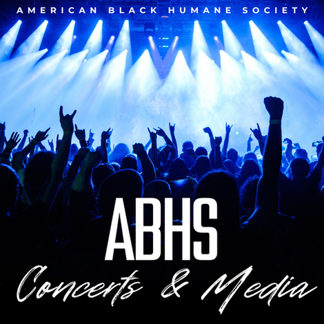concert & media(2).png