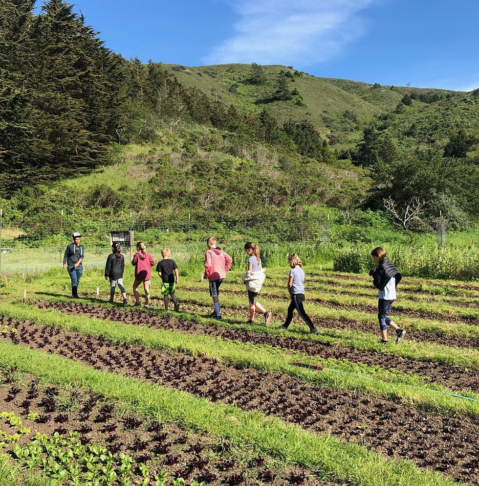 Agricultural Institute of Marin