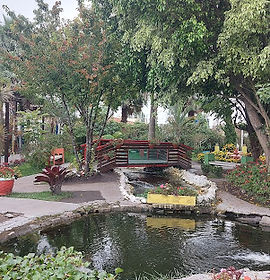 Viveiro Municipal - Suzano