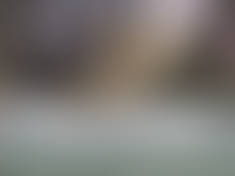 Rethinking Spaces: Renovation and Construction for the User Experience