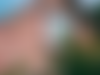 5 Crucial Roof Maintenance Tips “Preserving Your Home's Integrity"