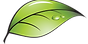 Nature_LL.png
