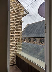 IMG_20190405_152056.jpg