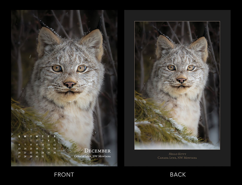 Thumbnail: 2026 Western Montana Calendar