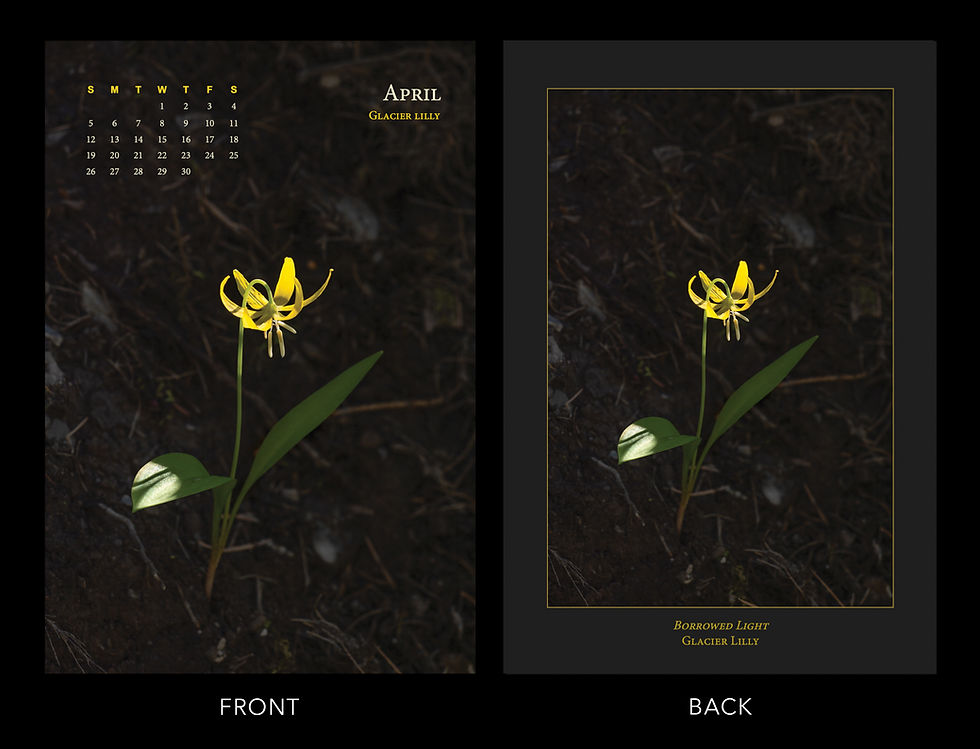 Thumbnail: 2026 Western Montana Calendar