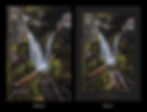 Thumbnail: 2026 Western Montana Calendar