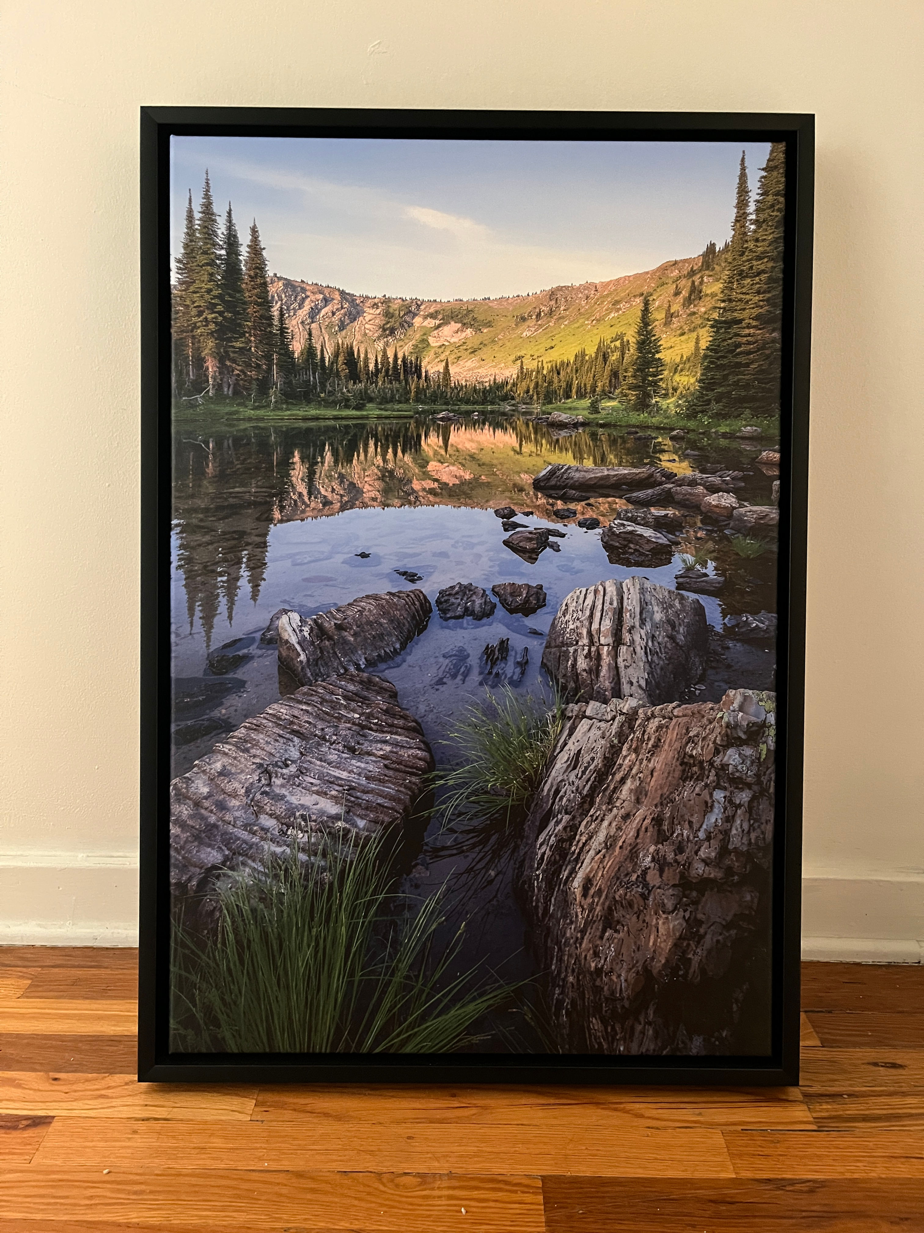 Summer Picnic - 20x30 framed canvas (slightly scuffs on frame)