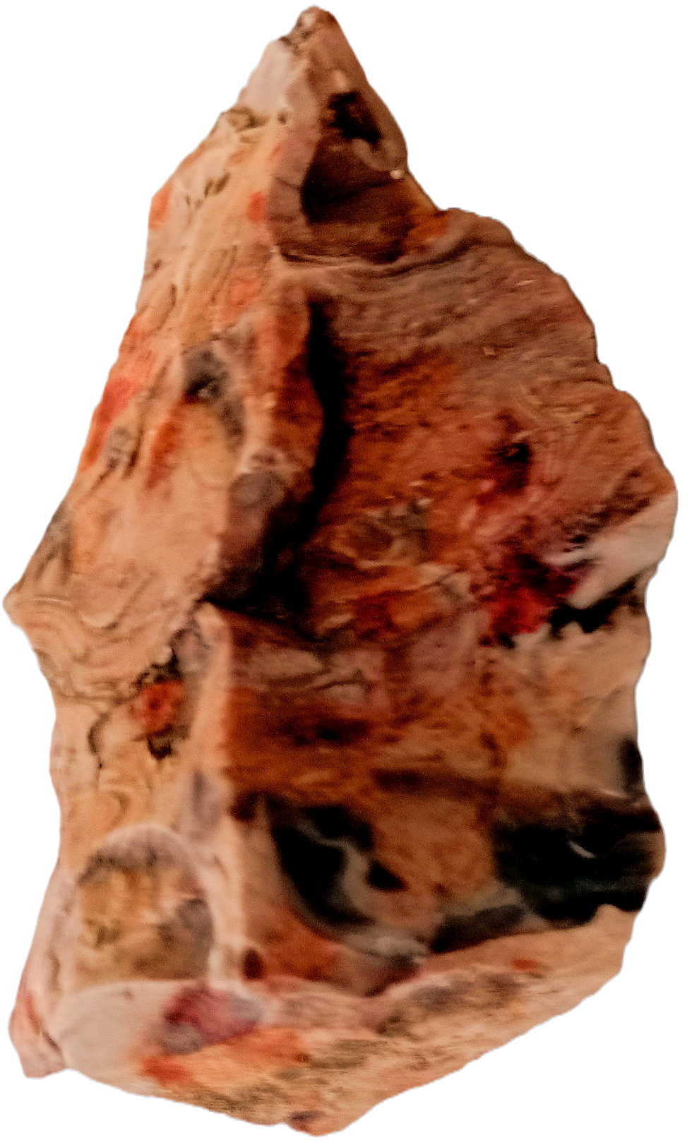 IMG_20241010_145002343_edited