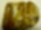 20221122_071810.jpg