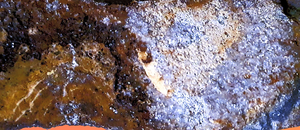20220504_201343_edited_edited