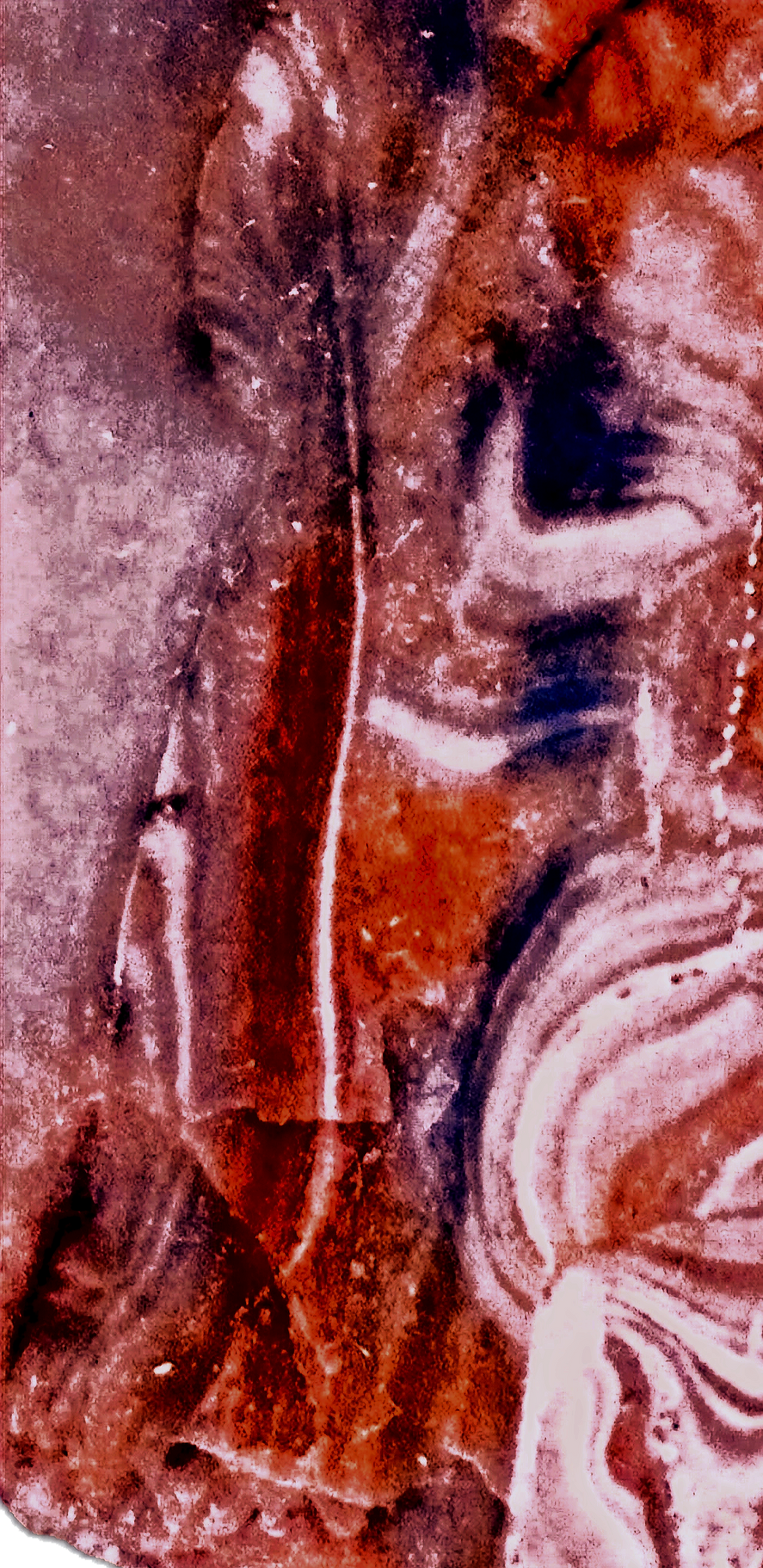 IMG_20241010_145146606_edited_edited_edited_edited_edited_edited_edited