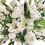 Thumbnail: silk  Floral Arrangement Manor Lane in Ivory, White with Rose, Tiger Lily | Déco