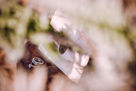 WD_IMG-15.jpg