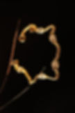 PSX_20250128_225834_edited.jpg