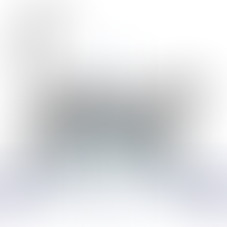 Дайджест 12.12.2021