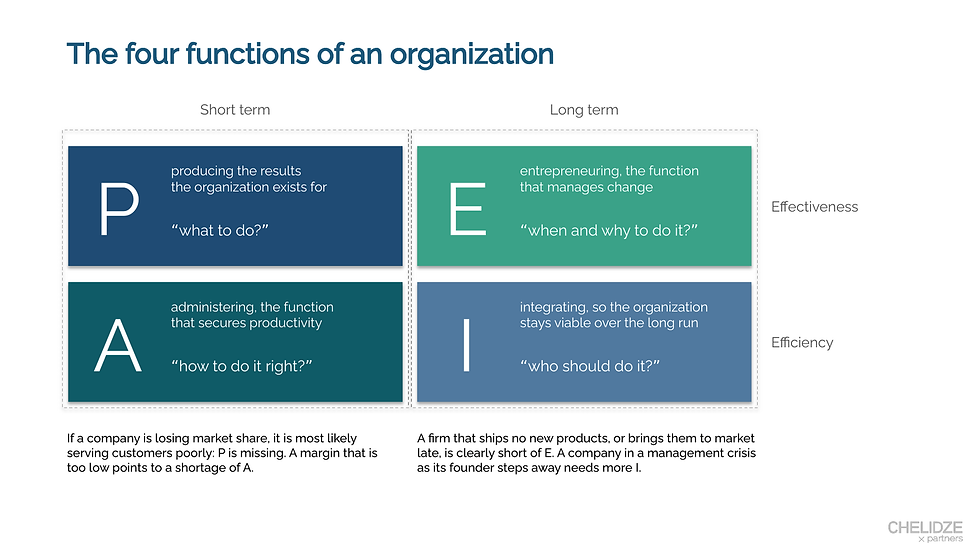 The four functions of an organization: P, A, E and I by time horizon