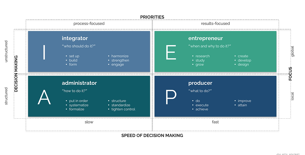 Management styles by priorities and speed of decision making