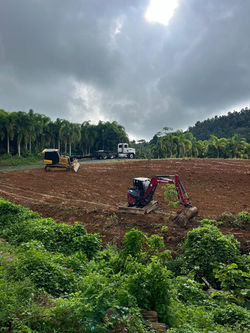 WhatsApp Image 2026-02-05 at 2.48.05 AM