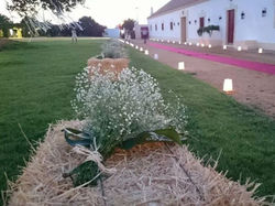 Bodas_Dehesa_Bolaños_20140705_1024x768 (1)